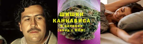 гидра Медногорск