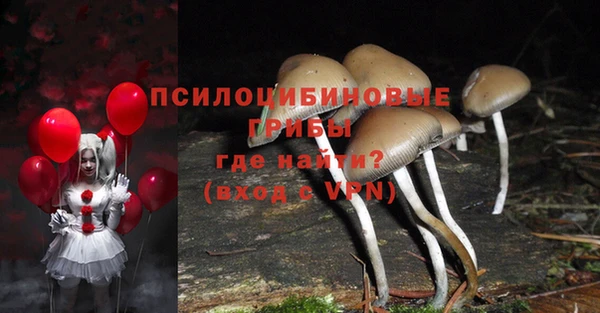 тгк Алзамай