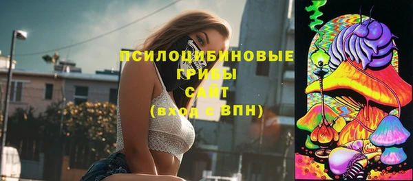 гидра Медногорск